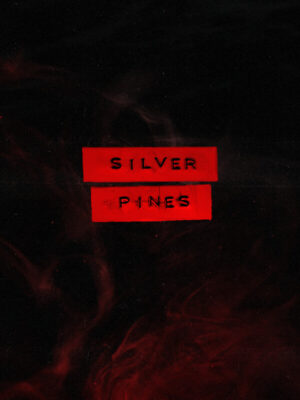 Silver Pines – obal hry